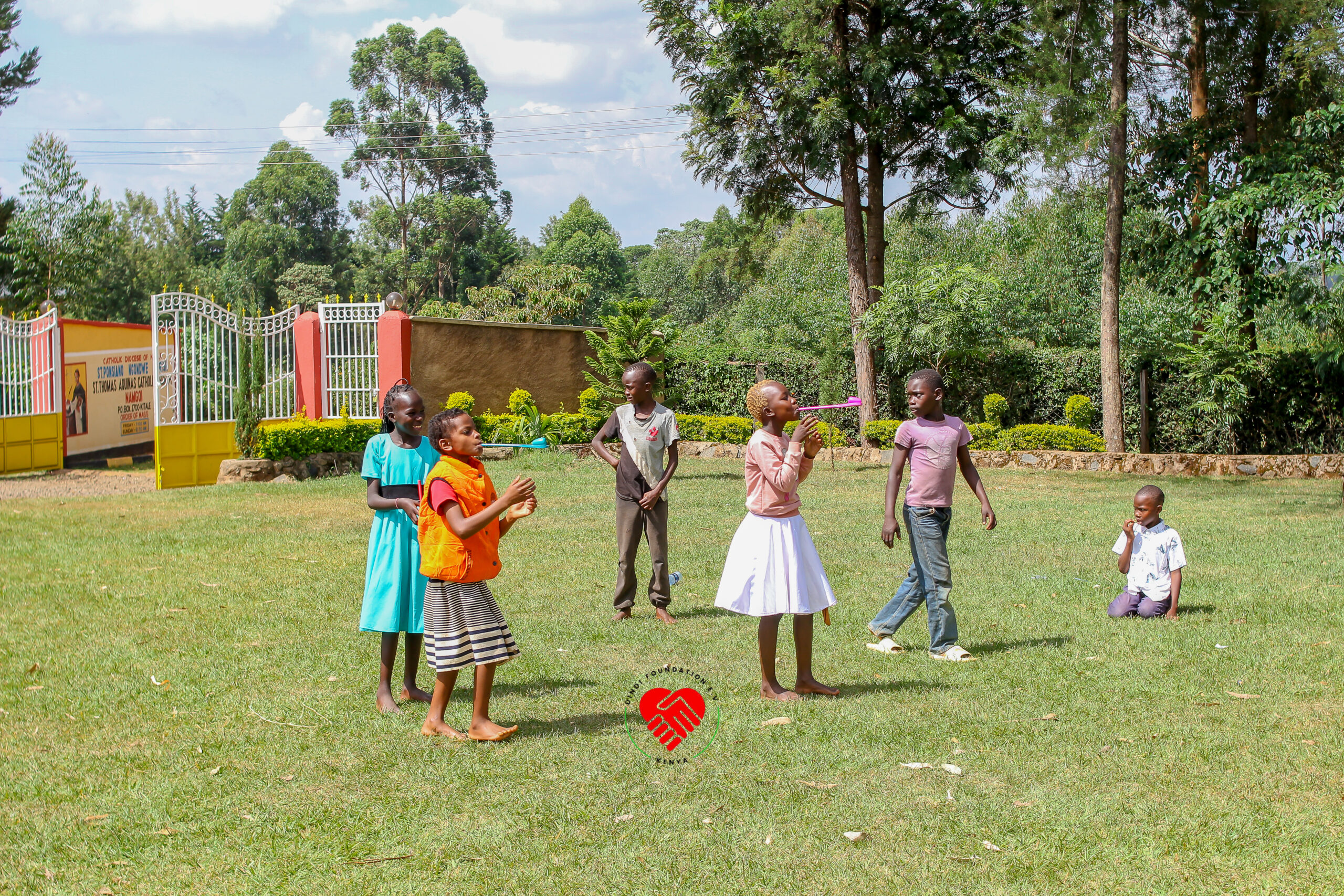 Dindi Foundation